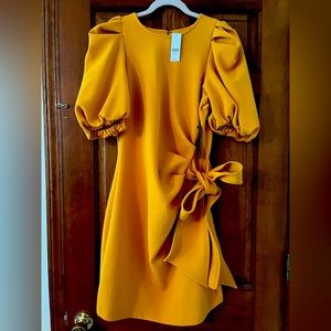 Medium Peplum Sleeved Tie-Waisted Dress from New York & Co